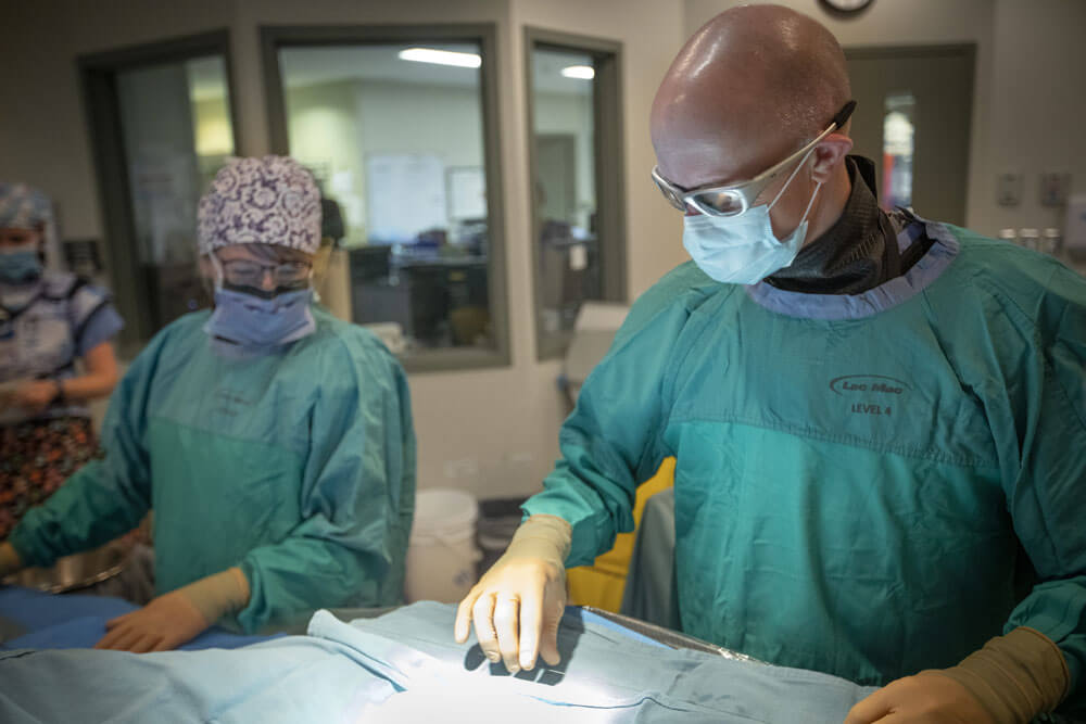 Cardiac doctor and nurse in scrubs preparing catheter