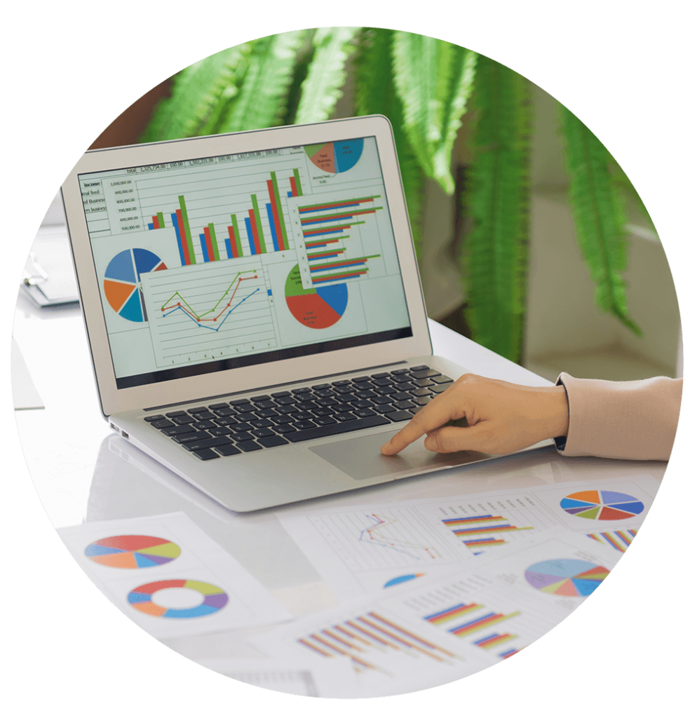 Image of graphs and charts on laptop